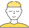 cerveau